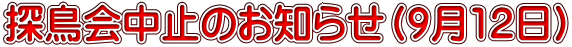 探鳥会中止のお知らせ（9月12日）