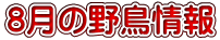 8月の野鳥情報